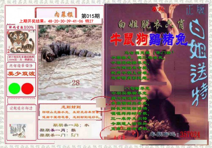 图片加载中