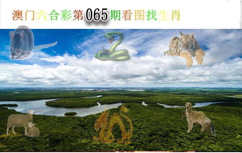 图片加载中