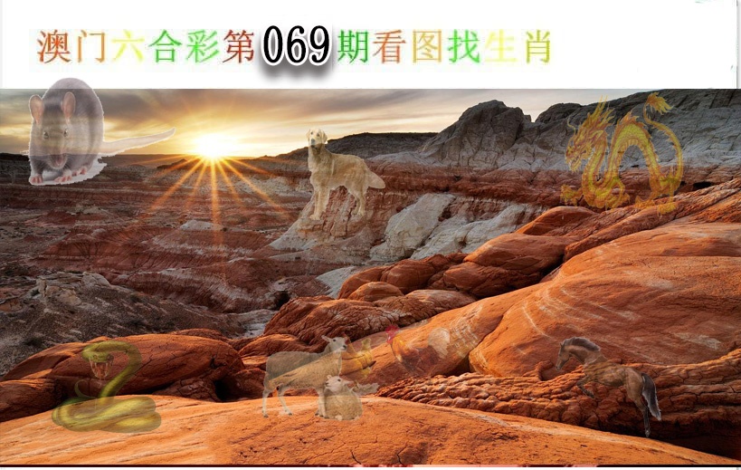 图片加载中