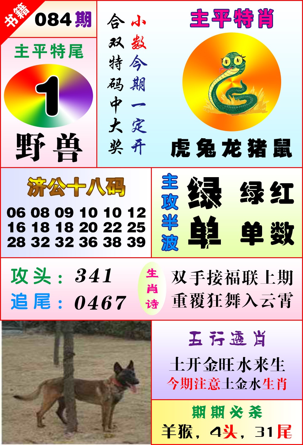 图片加载中