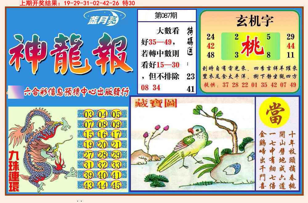 图片加载中