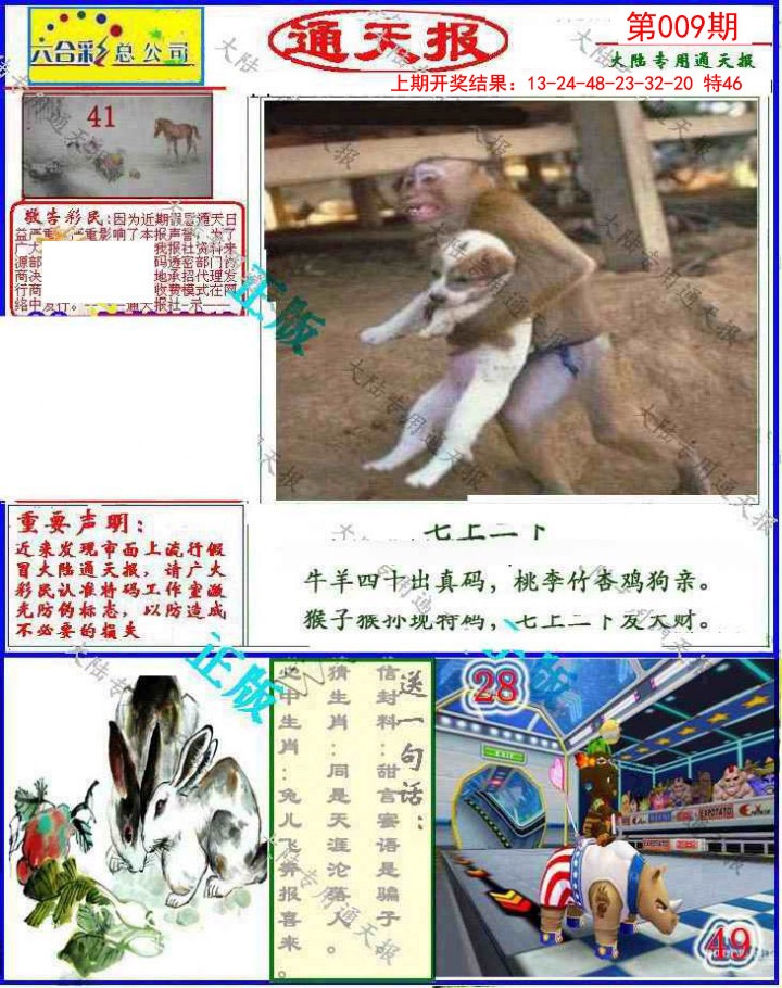 图片加载中